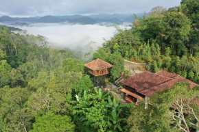Spice Forest Plantation Homestay, Thekkady